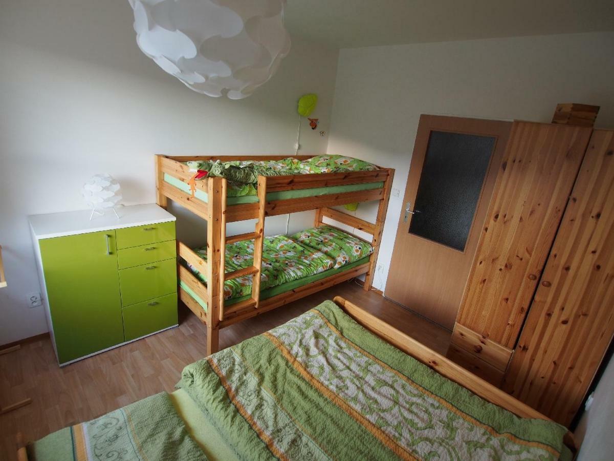 Apartman V Destnem Apartment Destne v Orlickych horach Ngoại thất bức ảnh